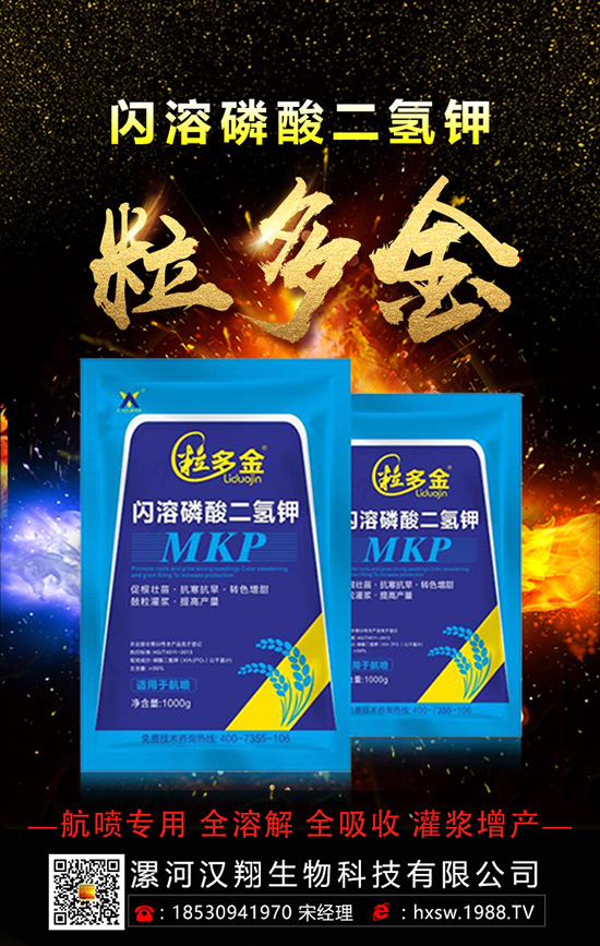 柚子如何種植拔高產(chǎn)量呢？柚子的科學(xué)種植方法！