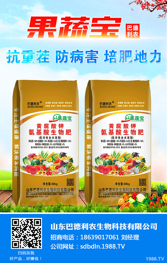     2020-1-16二銨企業(yè)發(fā)貨為主新單成交放緩！今日二銨價格早報！