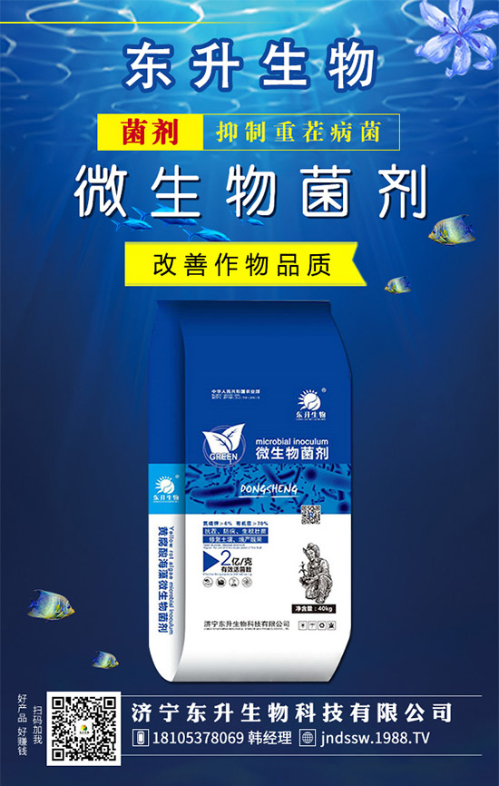 石榴樹什么時候嫁接好？石榴樹嫁接方法有哪些呢？