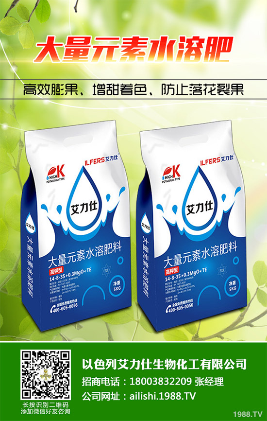 芹菜根腐病是如何發(fā)生的？該怎樣防治？快來(lái)看看吧！