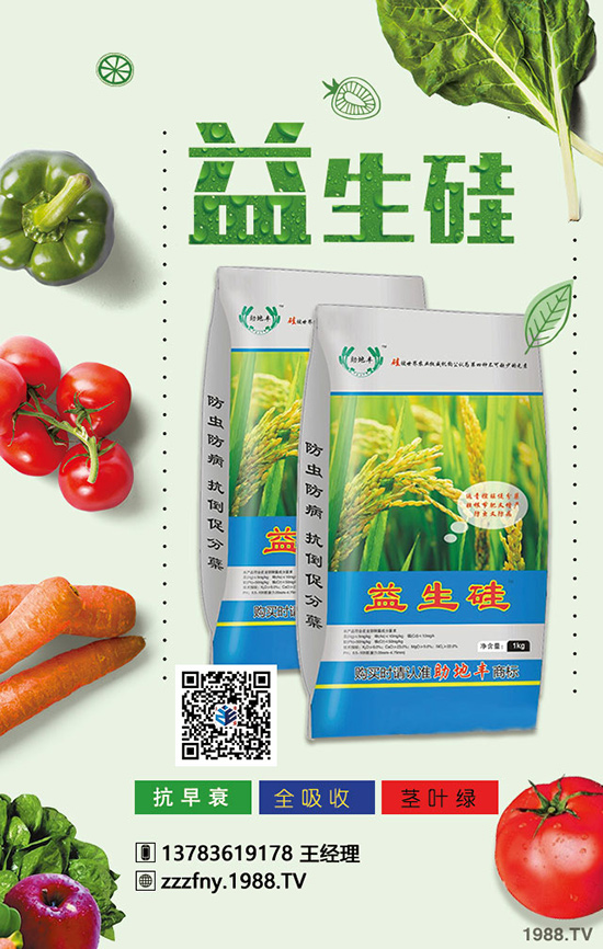 君子蘭秋天怎么合理施肥？不懂的看過來！