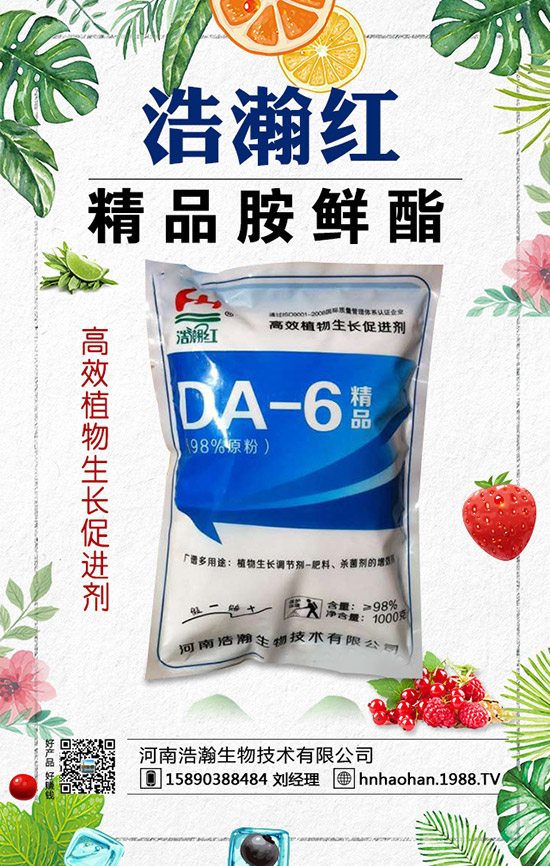 如何種植薰衣草？薰衣草的種植方法與注意事項(xiàng)！