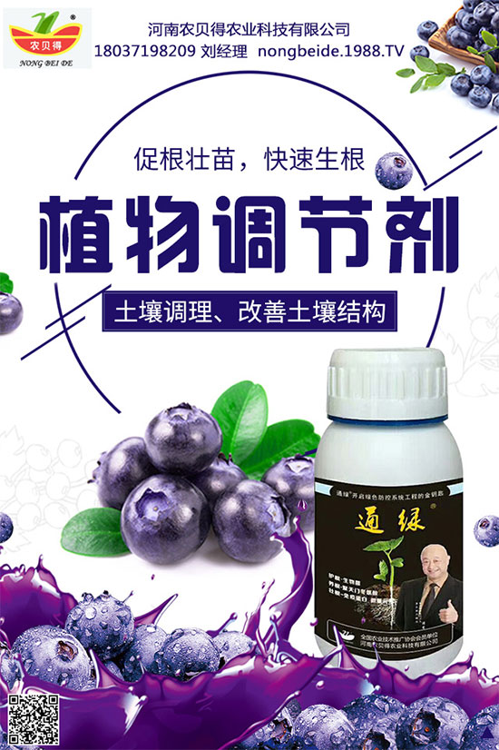 種植生姜施肥要點(diǎn),生姜施肥用什么肥料?