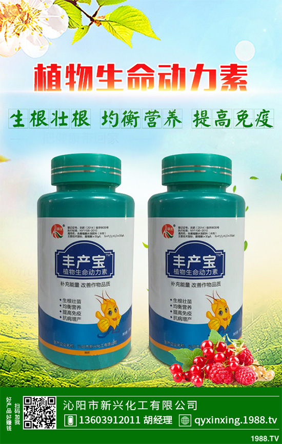 怎樣才能種好大白菜？大白菜高產(chǎn)種植技術(shù)要點(diǎn)