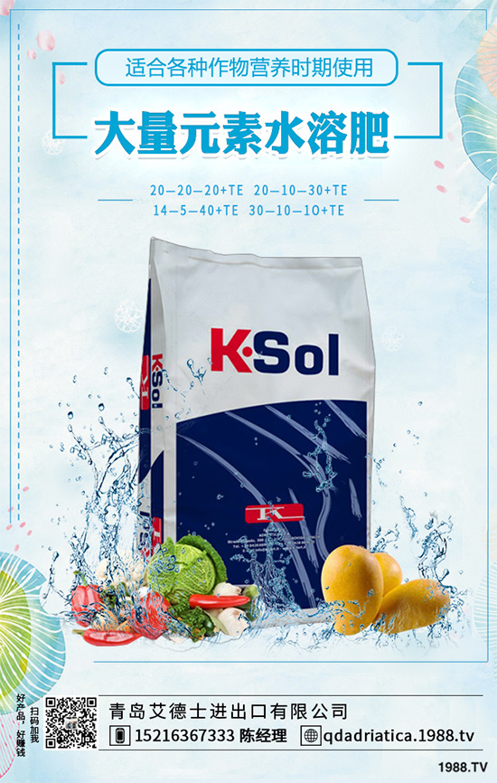 怎樣才能種好大白菜？大白菜高產(chǎn)種植技術(shù)要點(diǎn)