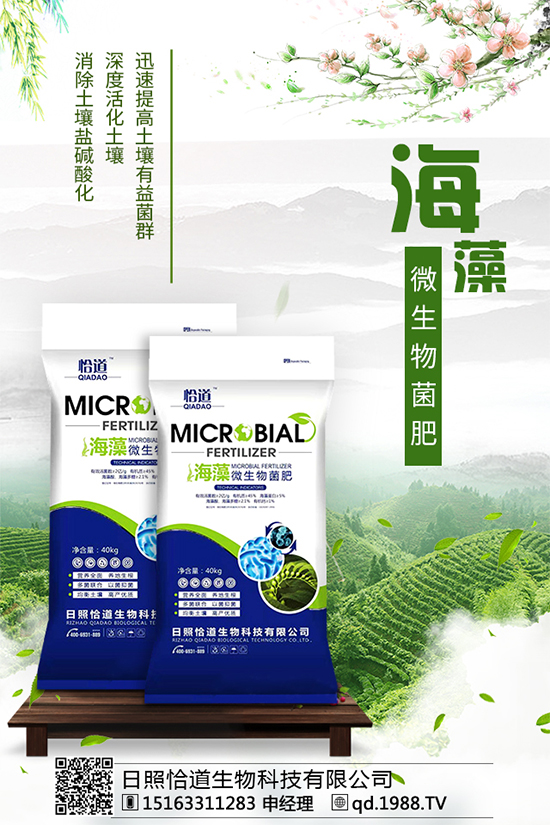     松茸有哪些營養(yǎng)價(jià)值？吃松茸有什么好處？