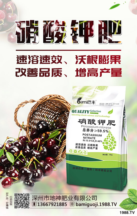 紅薯育苗時間是什么時候？紅薯育苗方法有哪些？