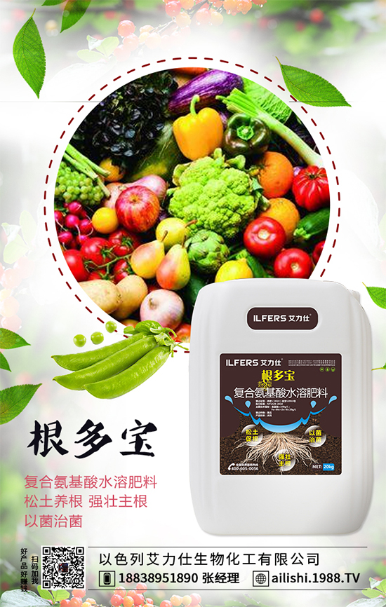 扁豆什么時(shí)間種植?扁豆高產(chǎn)栽培技術(shù)!