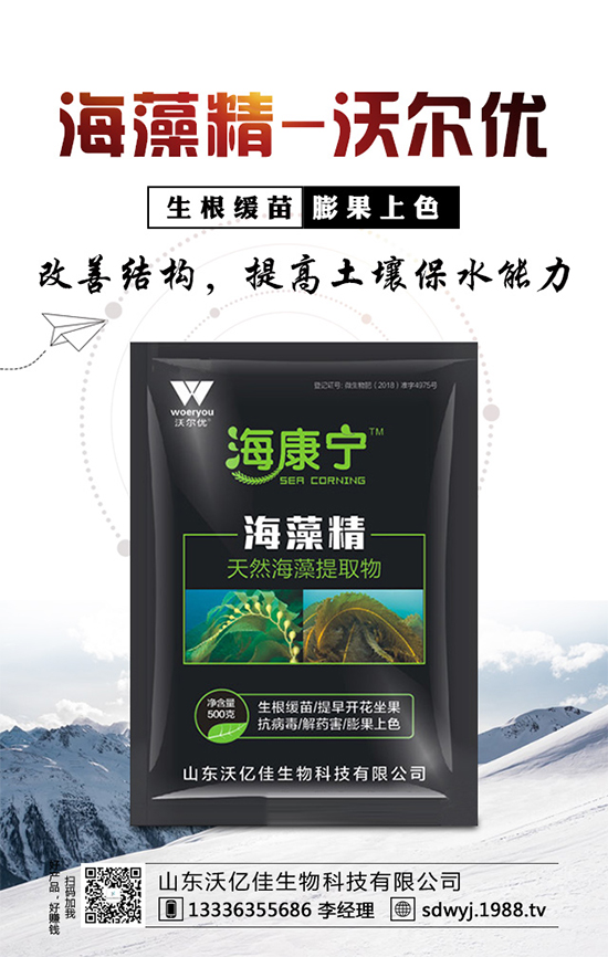 露地辣椒什么時候種植?露地辣椒高產(chǎn)種植技術(shù)