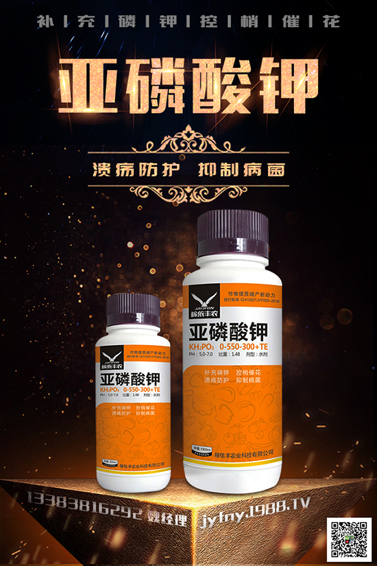 2020種黑番茄賺錢嗎？黑番茄的種植方法有哪些？