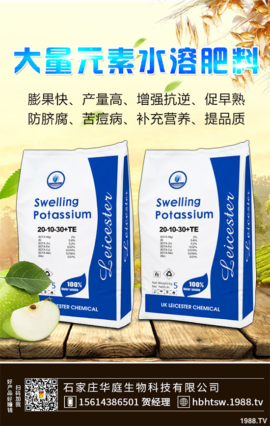 露地辣椒該如何施肥？露地辣椒高產(chǎn)施肥技術(shù)