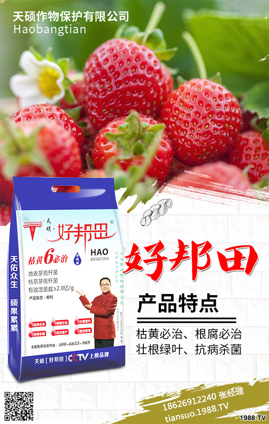 冬季南瓜該如何種植？反季南瓜大棚種植技術(shù)