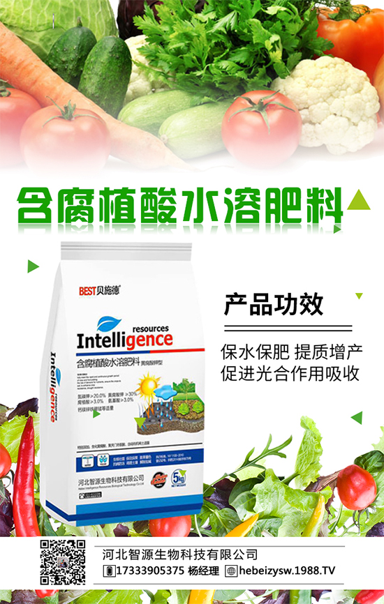 花菜科學(xué)種植方法與合理的田間管理大家了解嗎？