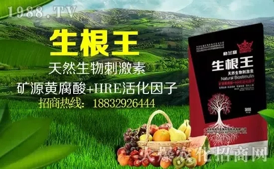 С���q�r�����e��r���^2500Ԫ/����