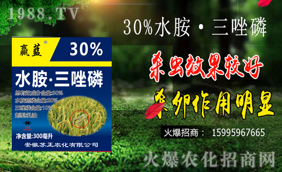 水稻鉆心蟲防治難點有哪些？水稻鉆心蟲危害及防治要點！