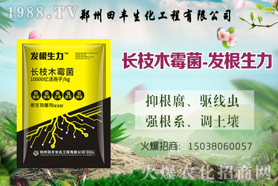 С���q�r(ji��)��������С���r(ji��)��(w��n)��ƫ��(qi��ng)�����ֵ؅^(q��)�^�m(x��)�ϝq��