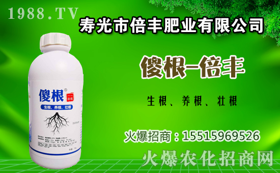 茄子種植該如何施肥？茄子的基肥與追肥方法！