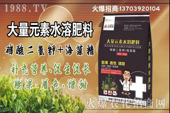 蔬菜旺長有哪些危害？秋茬蔬菜控旺三要點！