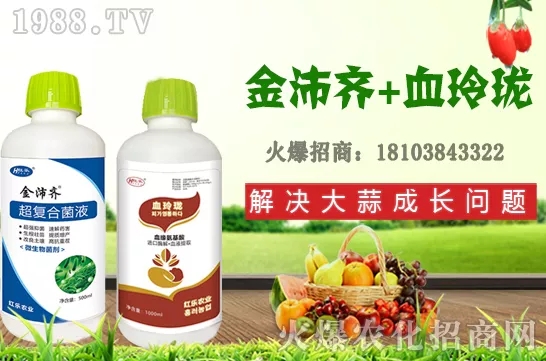     �ļ�ʯ�����L��(x��)������Щ���ļ�ʯ����ֲ���g(sh��)�������ڹ�����