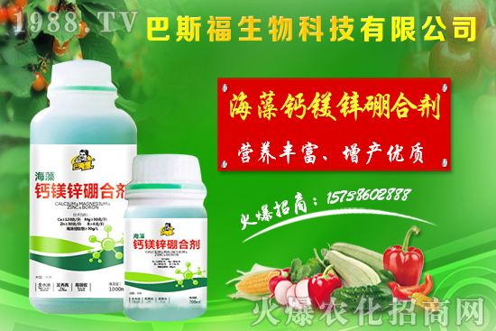 節(jié)后麥?zhǔn)辛魍ㄆ,小麥價(jià)格整體偏強(qiáng)運(yùn)行!