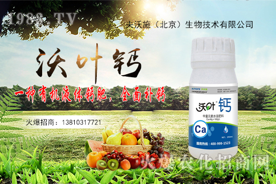 花生還會(huì)再漲嗎？2020年10月20日花生價(jià)格行情