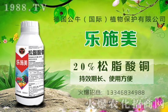 ������ʩ�ʕr(sh��)�g��ʲô�r(sh��)����������ԓ���ʩ����