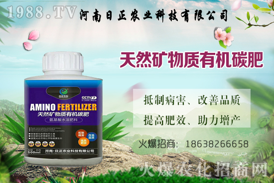 ���@������ѕr�g�ǺΕr���Д���(bi��o)��(zh��n)��ʲô�����@����ע�����(xi��ng)��