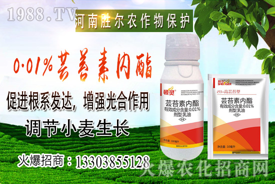 С���r(ji��)���ϝq��(ji��)����u�d�𣬺��п�����10��22��С���r(ji��)������