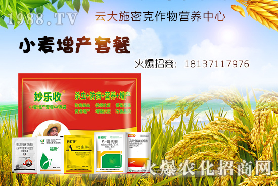 小麥播種后不出苗？是什么原因造成的？