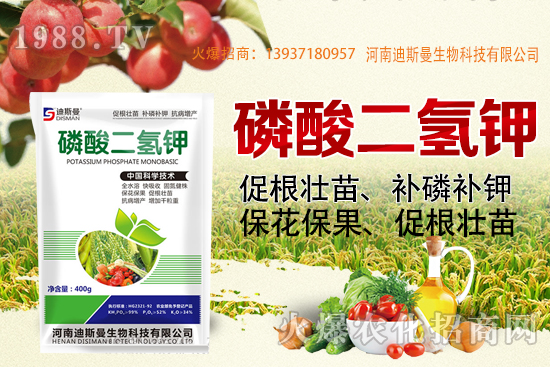 小麥報價！2020年10月7日小麥價格！