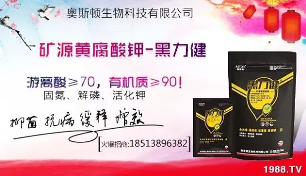 ����ʲô�r�g���N��ע���������Щ�����ش���Nֲ�r�g����