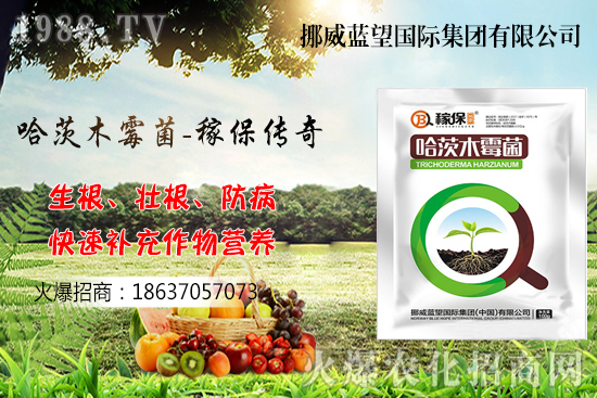 收獲后的小麥如何儲(chǔ)存呢？小麥儲(chǔ)藏關(guān)鍵點(diǎn)管理！