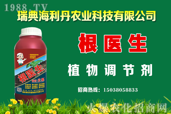 油菜怎么管理能提高產(chǎn)量？油菜抗寒防凍措施有哪些？