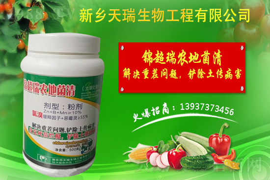 洋蔥如何施肥？洋蔥施肥方法及播種時(shí)間！