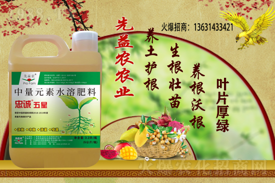 С���r������Xһ��������С���r��������