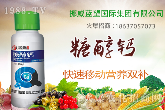 草莓缺鈣有哪些原因呢？草莓缺鈣癥狀及補救措施