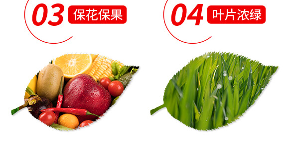 稀土微量元素水溶肥料-果滿園-貝德樂_06