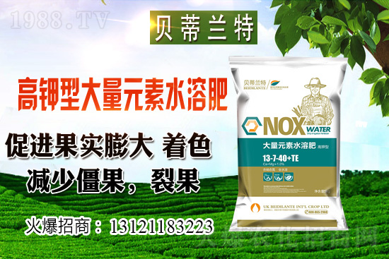 2020��12��С���r(ji��)���A(y��)�y��������С���r(ji��)���B��