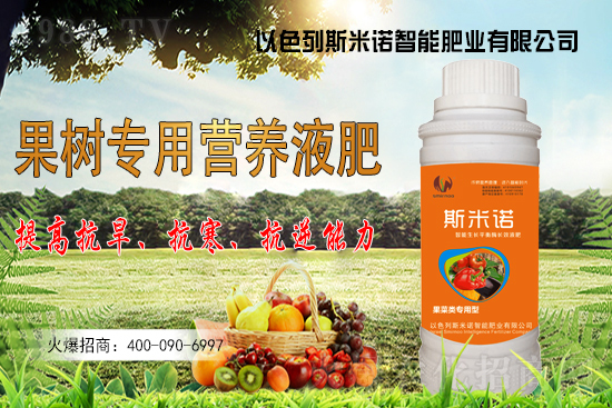 大豆價格持續(xù)“高漲”？今日東北大豆報價一覽！