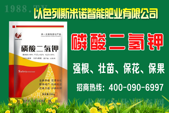 柑橘什么時間施肥？柑橘的施肥時間及用量介紹！