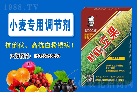 С���r��������ϝq��2020-11-26С���r������