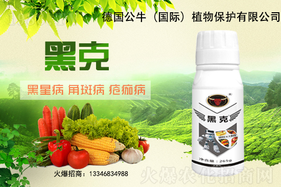 東北大豆能破3元/斤嗎?11月28日大豆價格行情