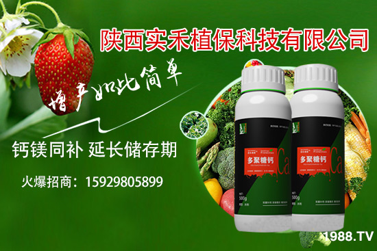 西紅柿卷葉是什么原因，西紅柿卷葉防治措施有哪些？