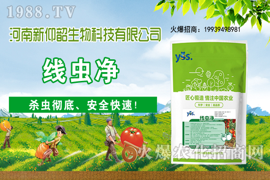 多肉植物該怎么澆水？多肉植物澆水要注意哪些問題呢？