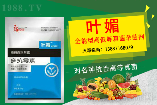 ����������(y��n)��̫�y�p������p�ɽ�Q��