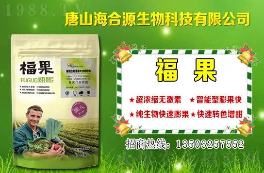 目前小麥收購多少錢一斤?小麥價格行情如何?