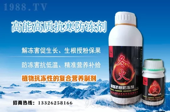 早春韭菜如何施肥?韭菜施肥方法和注意事項(xiàng)!