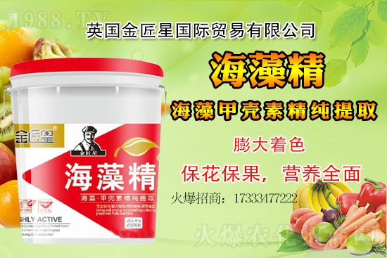 小麥價格還會出現(xiàn)大漲嗎？小麥行情總結(jié)！