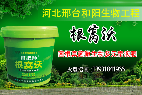 哪些病害屬于土傳病害？采取什么措施可以防治？