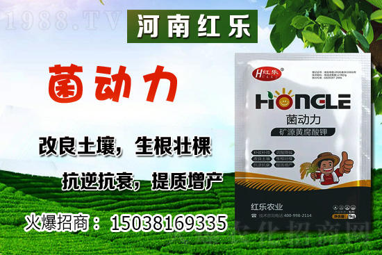 12�·��ܷNʲô�߲��������߲˷Nֲ����Щ������